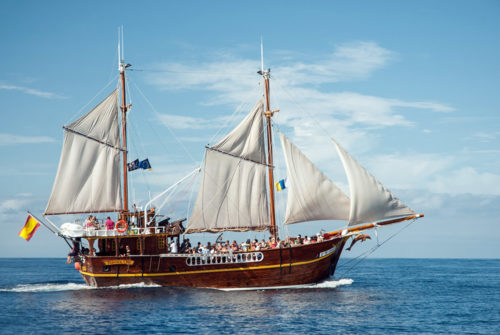 Hajókirándulás-bálnales-kalózhajóval-Los-Gigantes-szikláinál-Tenerife