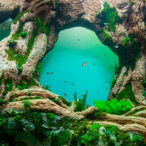 Gran-Canaria-kirándulás-Észak-Teneriféről