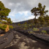 La-Palma-szigetlátogatás-teneriféről