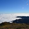 Madeira-látnivalók-Jeep-túra-Pico-Arrierio-tradicionális-piac