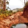 Madeira-látnivalók-Jeep-túra-Pico-Arrierio-tradicionális-piac