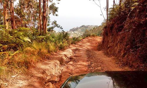 Madeira-látnivalók-Jeep-túra-Pico-Arrierio-tradicionális-piac