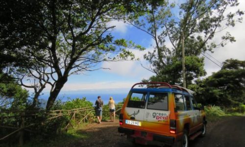 Madeira-látnivalók-Jeep-túra-Pico-Arrierio-tradicionális-piac