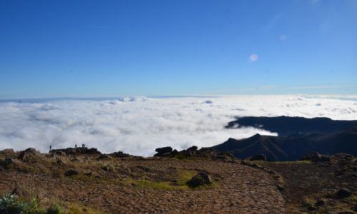 Madeira-látnivalók-Jeep-túra-Pico-Arrierio-tradicionális-piac