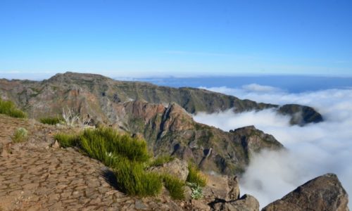 Madeira-látnivalók-Jeep-túra-Pico-Arrierio-tradicionális-piac