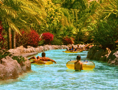 Loro Park és Siam Park: Felejthetetlen élmények