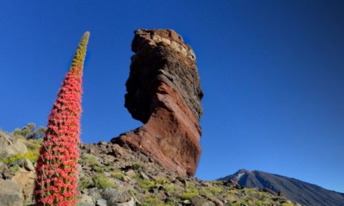 Teide, Tenerife