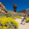 Teide, Tenerife